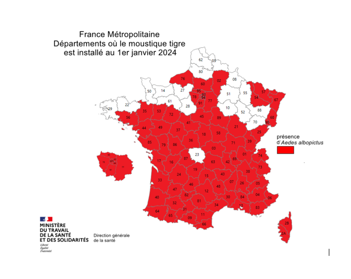 Carte de France touchée par le moustique tigre en 2024